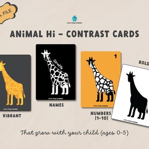 40 x Animal High Contrast Flashcards (Age: 0-5) | Black and white cards | For Visual Stimulation, Shape & Number learning | DIGITAL Download