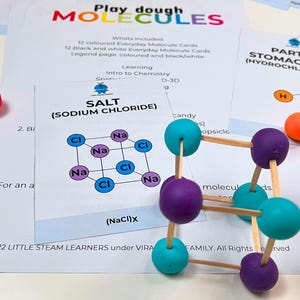 May include: A 3D model of a salt molecule, made with colorful play dough and wooden sticks. The model is labeled "SALT (SODIUM CHLORIDE)" and shows the chemical formula (NaCl)x.