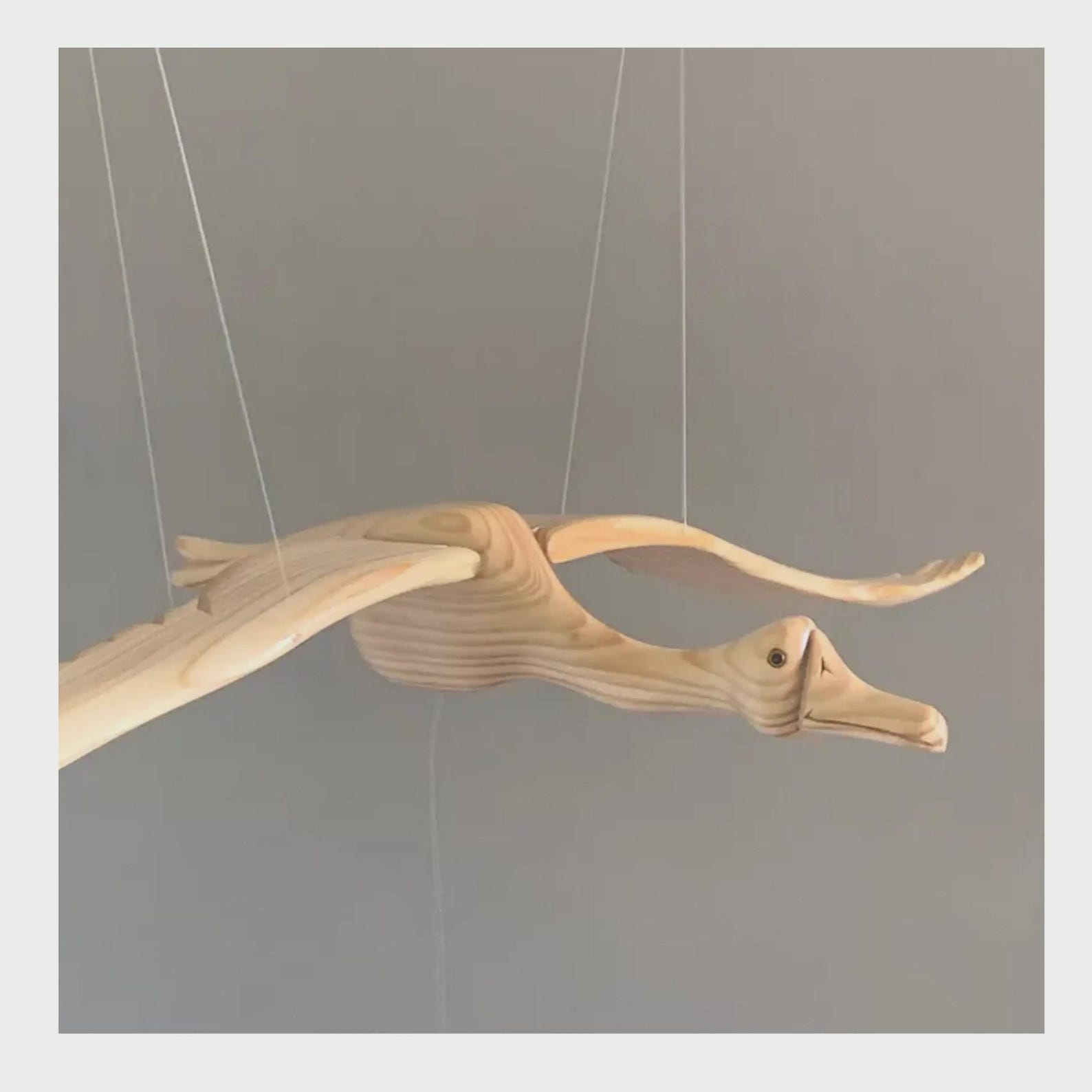 Gallery image with a fresh perspective