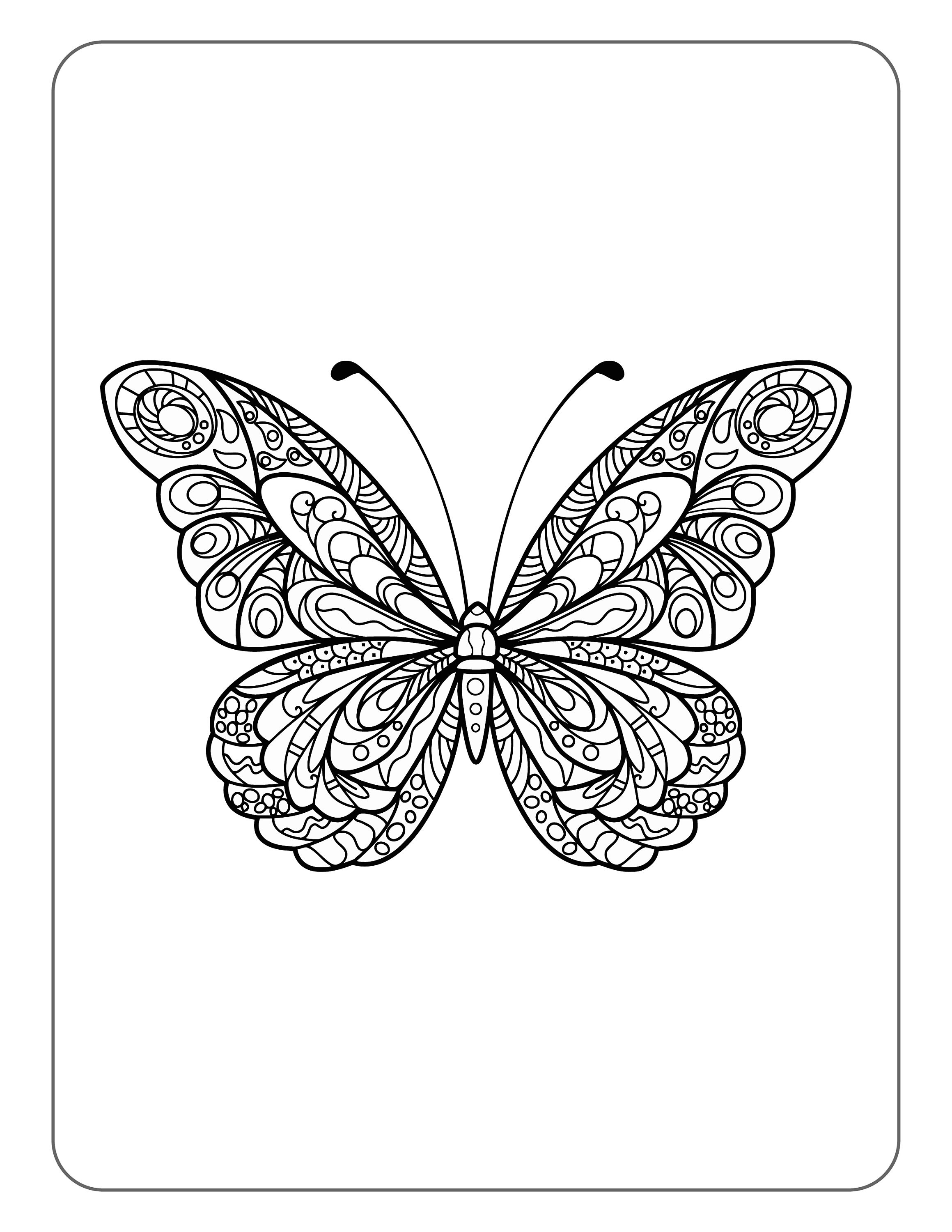 Printable Butterfly Coloring Pages for Adults - Etsy