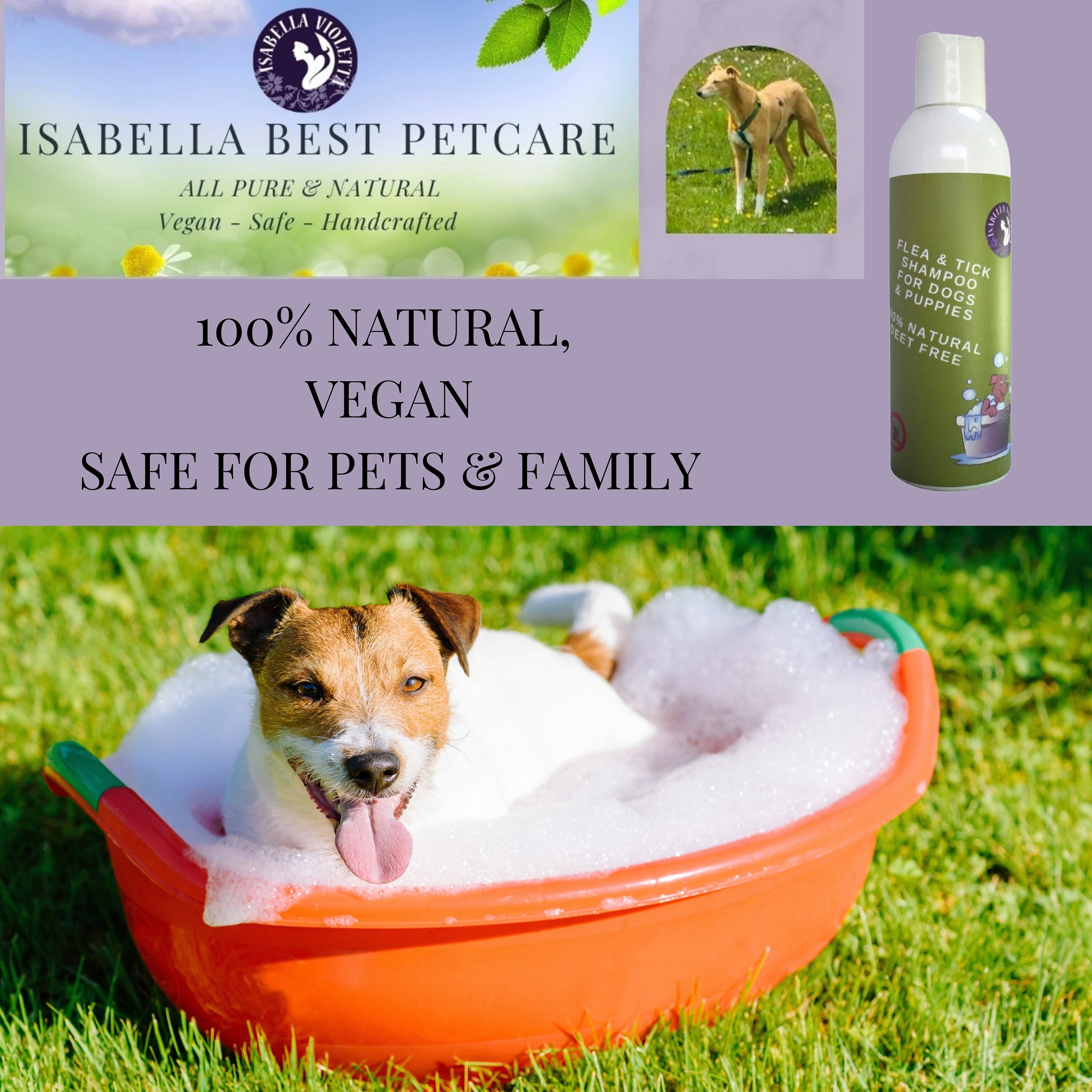 NATURAL DOG SHAMPOO Great After Muddy and Sandy Walks Even Etsy UK