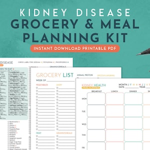 Kidney Disease Grocery & Meal Planning, Kidney Friendly Food List, Kidney Diet, Meal Tracker, Shopping List, Kidney Awareness, Printable PDF