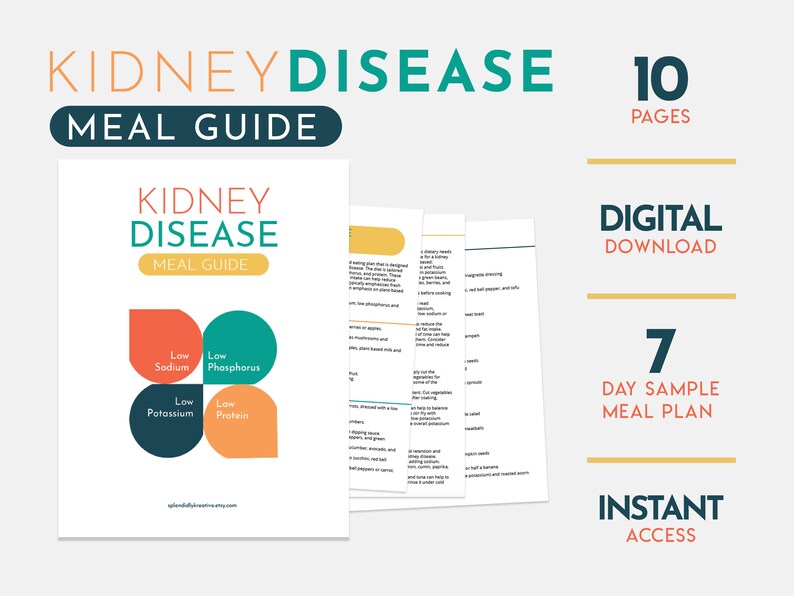Kidney Disease Meal Plan Guide Low Sodium Potassium Etsy