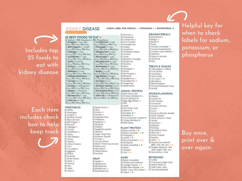 Kidney Disease Grocery & Meal Planning Kit Printable PDF Etsy