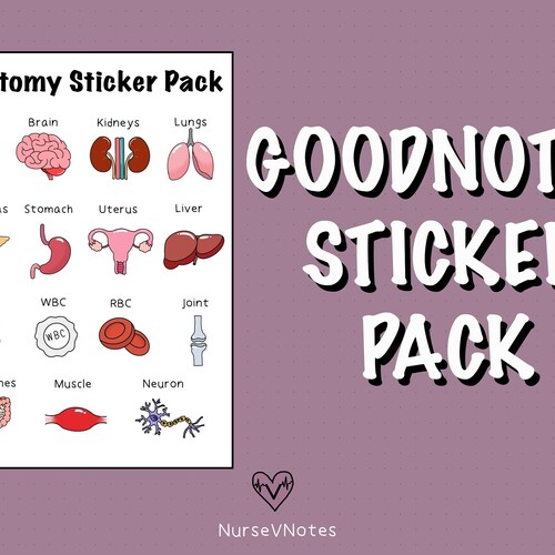 Goodnotes Anatomy Sticker Pack Nursing Stickers Digital Etsy Canada