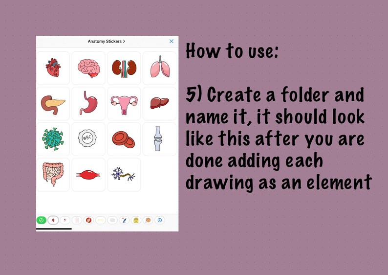 Goodnotes Anatomy Sticker Pack Nursing Stickers Digital Etsy