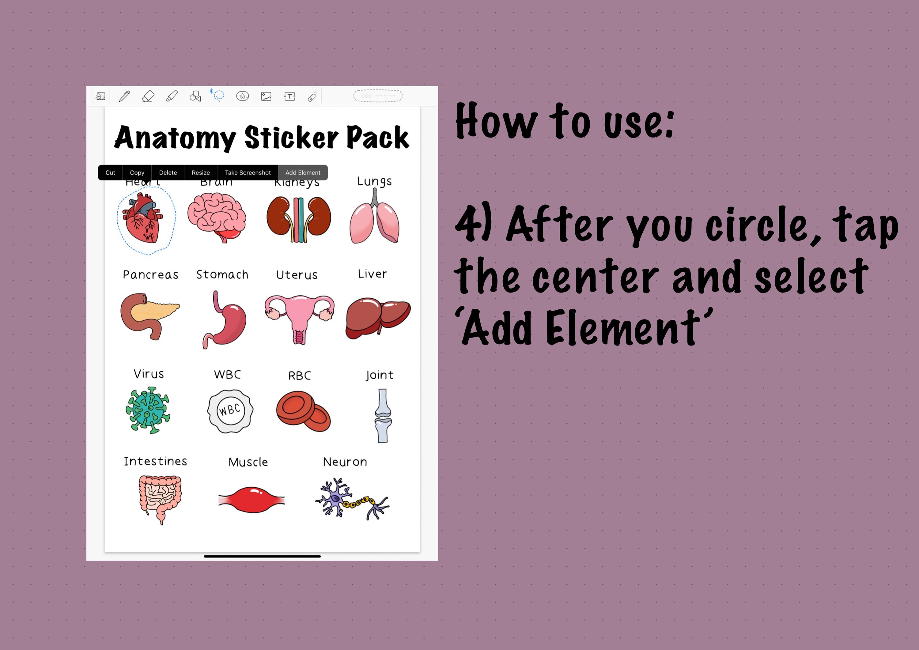 Goodnotes Anatomy Sticker Pack Nursing Stickers Digital Etsy Canada