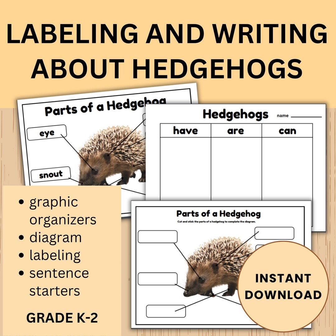 Hedgehog Labeling and Writing Activities | Woodland Animal Worksheets ...