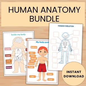 Human Body Anatomy Bundle | Printable Busy Book | Organs, Skeleton & Body Parts Activities for Kids | Preschool Science Resource