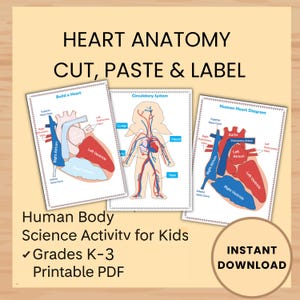 Heart Anatomy Worksheets | Circulatory System Printable | Label, Cut & Color Activities | Grades 1–4