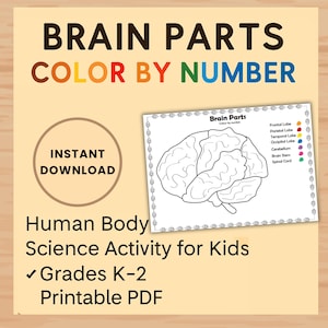 May include: A printable PDF educational activity for kids featuring a brain diagram labeled with parts. The text reads "Brain Parts Color by Number" and "Human Body Science Activity for Kids." Includes "Instant Download" and is for Grades K-2.