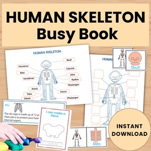 May include: A Human Skeleton Busy Book with educational diagrams and illustrations. The image includes labeled diagrams of the human skeleton, including the skull, ribs, and pelvis. The text "Instant Download" is also visible.