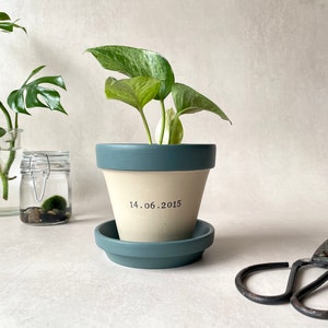 May include: A potted plant with green and white variegated leaves in a white ceramic pot with a blue rim. The pot has the date "14.06.2015" written on it. The pot is sitting on a blue saucer.