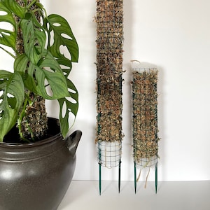 Handmade Sphagnum Moss Pole, Climbing Plant Support, Moss Pole Extendable, Moss Pole for Plants