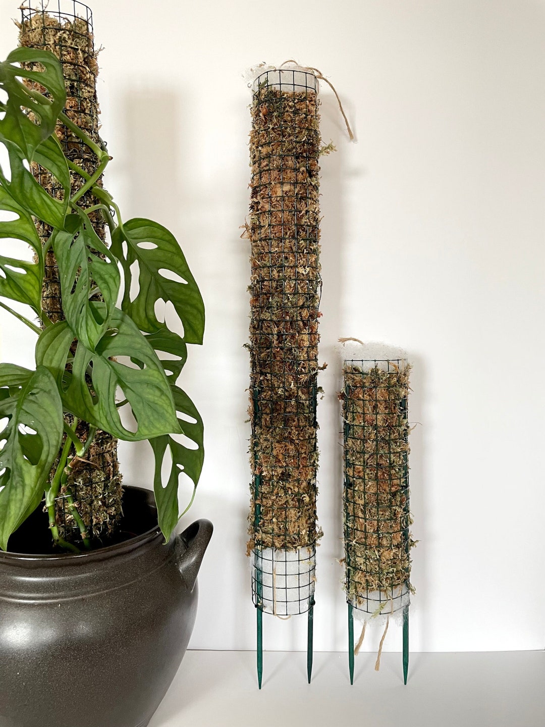 Sphagnum Moss Pole for Plants, House Plant Support Indoor, Climbing