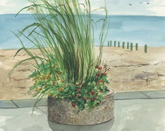 Beach Grass and Flowers at Iron Pier Beach, Jamesport, NY