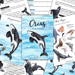 May include: A watercolor illustration of an orca, also known as a killer whale, jumping out of the water. The orca is black and white with a white patch behind its eye. The background is a light blue watercolor wash. The text "Orcas Nature Unit Study" is written in black at the top of the image.