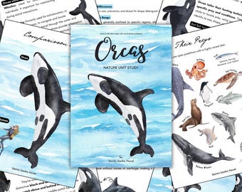 May include: A watercolor illustration of an orca, also known as a killer whale, jumping out of the water. The orca is black and white with a white patch behind its eye. The background is a light blue watercolor wash. The text "Orcas Nature Unit Study" is written in black at the top of the image.