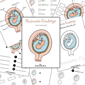 EMBRIÓN HUMANO: Tarjeta Montessori de 3 partes y hoja de trabajo de 60 páginas / embrión humano, Ciencia, Educación en el hogar, Aprendizaje en casa, Montessori