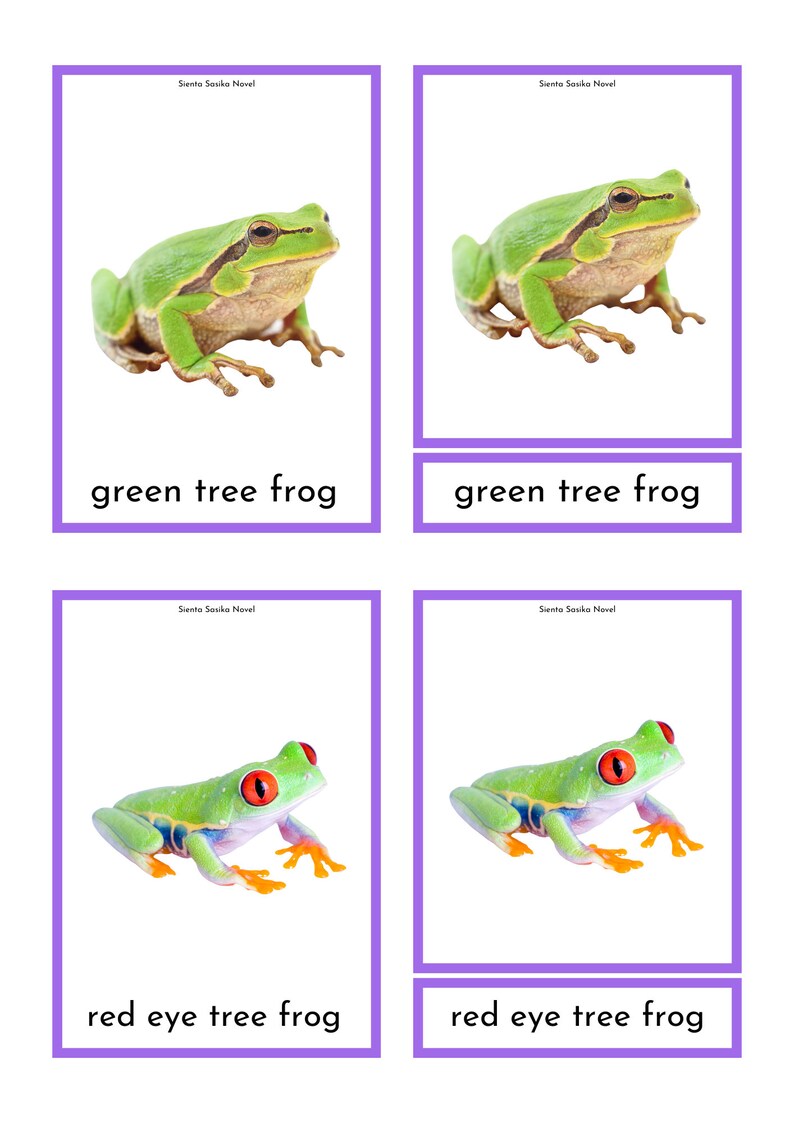 MONTESSORI 3 PARTS CARD: Real Picture of Amphibian | Homeschool, Home ...