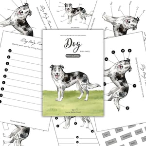 Dog Anatomy Learning Print: Body Parts Worksheet (Digital Download)
