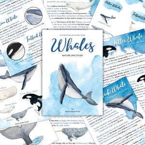 WHALE UNIT STUDY [Nature Unit Study] total 164 pages | Science, Homeschool, Home learning, Montessori, Instant download