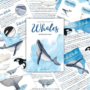 Whale Unit Study: Nature Science, Homeschool (Instant Download)