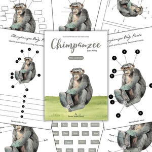 May include: A collection of educational printables featuring chimpanzees. The central image is a watercolor illustration of a chimpanzee, with the title "Chimpanzee Body Parts" and "Mini Science". Other pages show diagrams for labeling body parts.