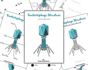 BACTERIOPHAGE STRUCTURE: Montessori 3 parts card and 56 pages worksheet | science, Homeschool, Home learning, Montessori