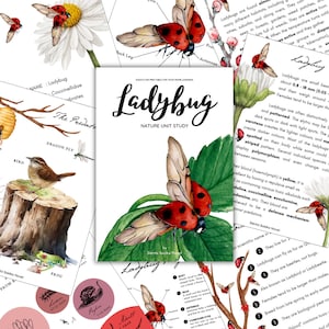 May include: A printable educational resource about ladybugs. The resource includes a colorful illustration of a ladybug on a leaf, a diagram of a ladybug's body parts, and facts about ladybugs. The text includes the words "Ladybug Nature Unit Study".