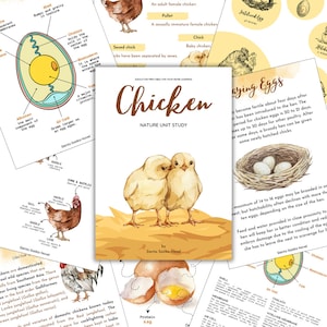 CHICKEN UNIT STUDY [Nature Unit Study] total 215 pages | Science, Homeschool, Home learning, Montessori, Instant download