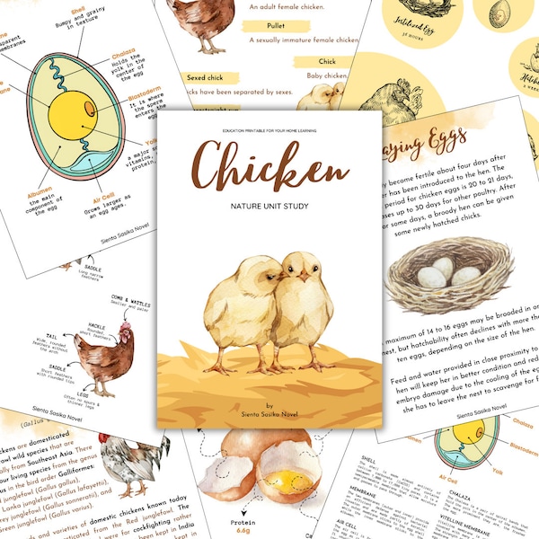 CHICKEN UNIT STUDY [Nature Unit Study] total 215 pages | Science, Homeschool, Home learning, Montessori, Instant download