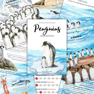 ESTUDIO DE LA UNIDAD SOBRE LOS PINGÜINOS [Estudio de la unidad sobre la naturaleza] 460 páginas en total / Ciencia, Educación en el hogar, Aprendizaje en el hogar, Montessori, Descarga instantánea