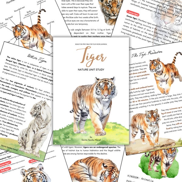 TIGER UNIT STUDY [Nature Unit Study] total 222 pages | Science, Homeschool, Home learning, Montessori, Instant download