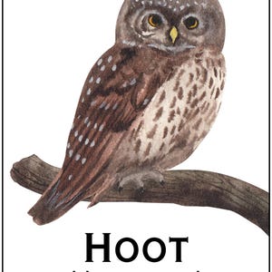 May include: Watercolor illustration of an owl perched on a branch. The owl has brown and white feathers, yellow eyes, and is set against a white background. Text at the bottom reads "HOOT like an owl."