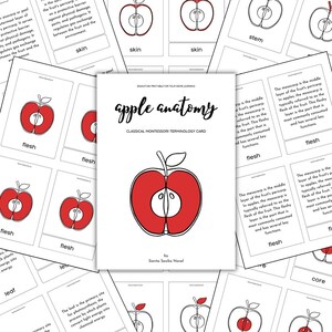 ANATOMIA DELLA MELA: Scheda con la terminologia classica Montessori / anatomia della mela, anatomia di una mela, istruzione parentale, materiale didattico stampabile