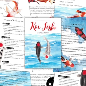 May include: Educational print featuring a "Koi Fish" nature unit study. The image shows illustrations of koi fish, diagrams, and text about koi varieties, care, and symbolism. The title is in red script, and the author's name is at the bottom.