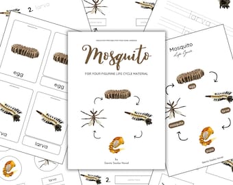 LIFE CYCLE: Mosquito Life Cycle for your figurine life cycle material | life cycle | zoology | science