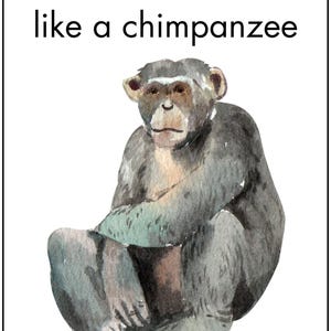 May include: Watercolor illustration of a chimpanzee sitting with its legs crossed, with text above that reads "SIT like a chimpanzee." The chimpanzee is depicted in shades of gray, brown, and green. The text "SIENTA SASIKA NOVEL" is at the bottom.