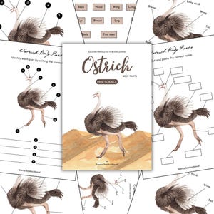 May include: Educational printable featuring an ostrich illustration with labeled body parts. The cover reads "Ostrich Body Parts" and "Mini Science". The image includes diagrams for learning and identifying the different parts of an ostrich.