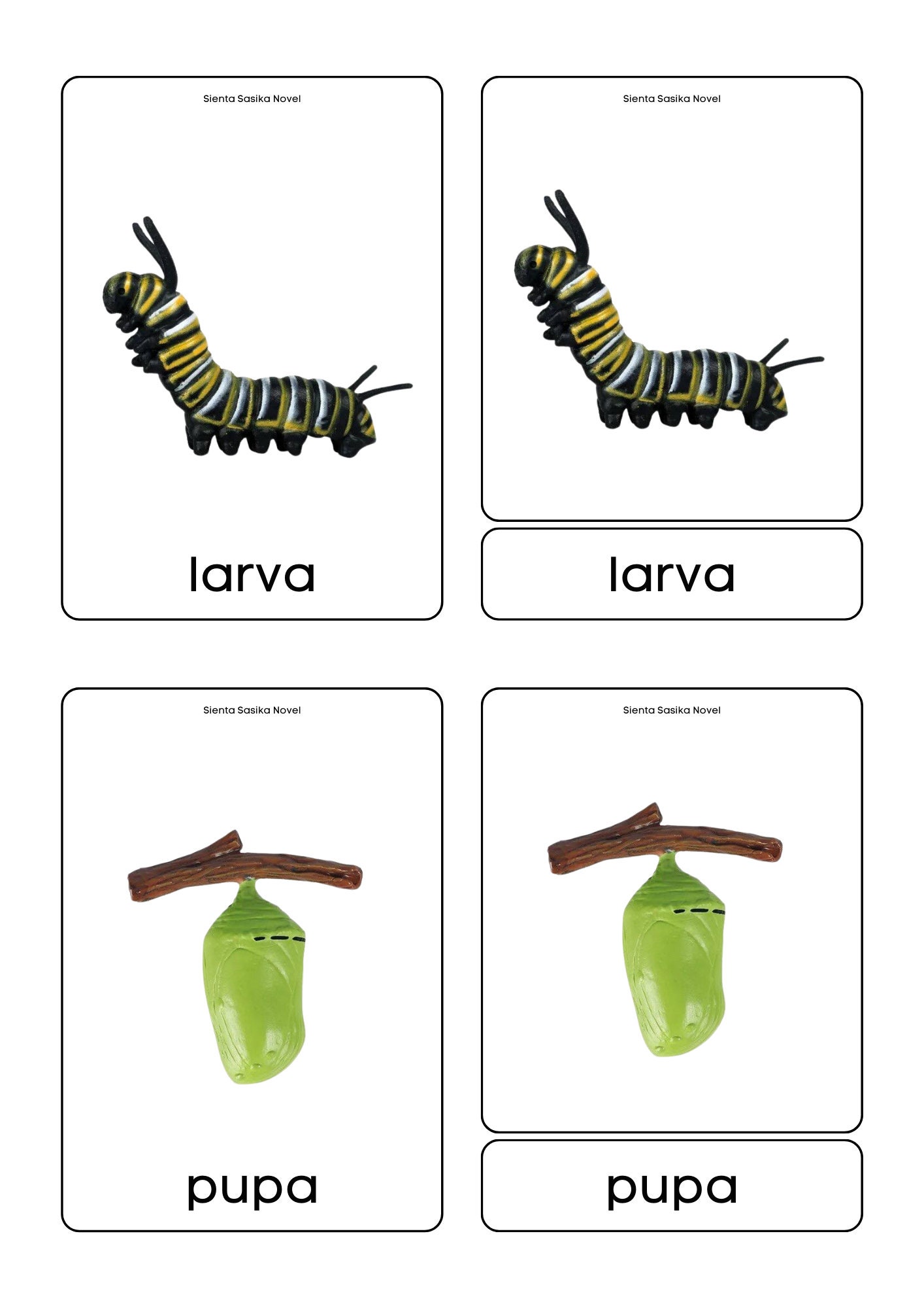 Butterfly Life Cycle Printable: Montessori 3-part Cards & Worksheets ...
