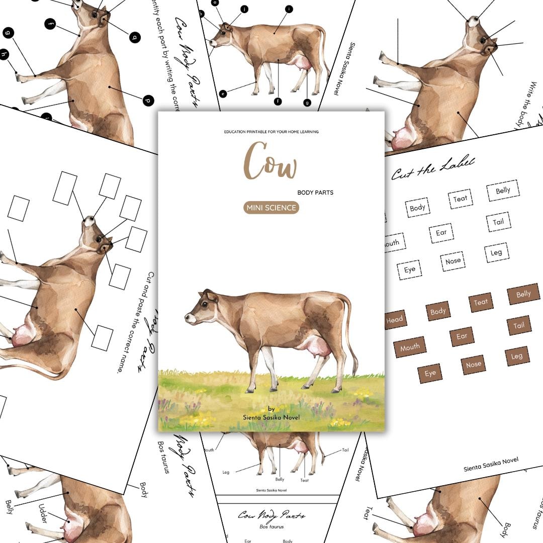 Cow Anatomy: Body Parts Learning Printable (PDF) - Etsy