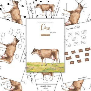 Anatomie de la vache : apprentissage des parties du corps imprimable (PDF)