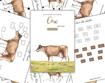 Cow Anatomy: Body Parts Learning Printable (PDF) - Etsy