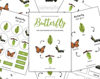 LIFE CYCLE: Butterfly Life Cycle for your figurine life cycle material | life cycle | zoology | science