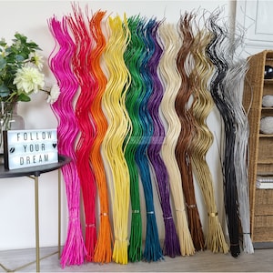 May include: A rainbow assortment of wavy willow branches, each branch is a different color, including pink, red, orange, yellow, green, blue, purple, brown, gold, and black. The branches are arranged in a row, with the pink branch on the left and the black branch on the right. The branches are all about 1 meter long.
