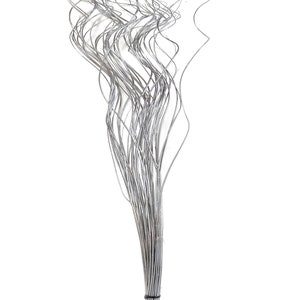 May include: A bunch of silver wire stems, twisted and curled, are tied together with a black rubber band. The stems are about 12 inches long and are perfect for adding a touch of sparkle to any floral arrangement.