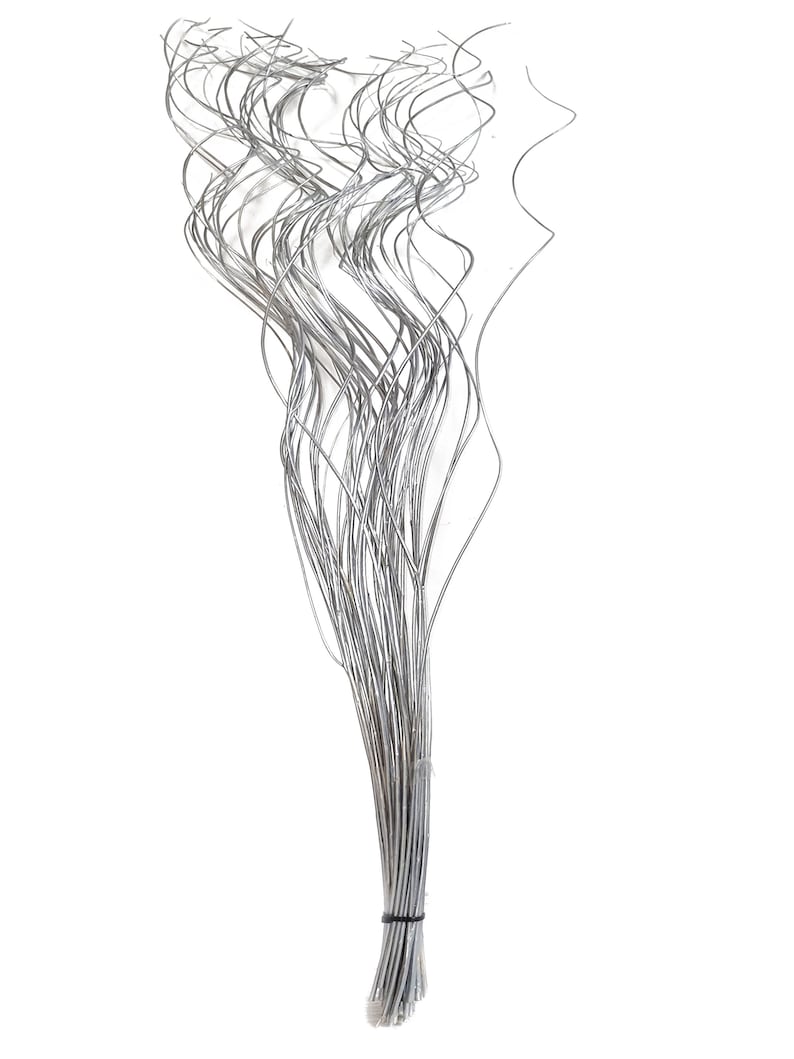 May include: A bunch of silver wire stems, twisted and curled, are tied together with a black rubber band. The stems are about 12 inches long and are perfect for adding a touch of sparkle to any floral arrangement.