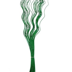 May include: A bunch of green, flexible, wire stems, perfect for floral arrangements or crafting projects.