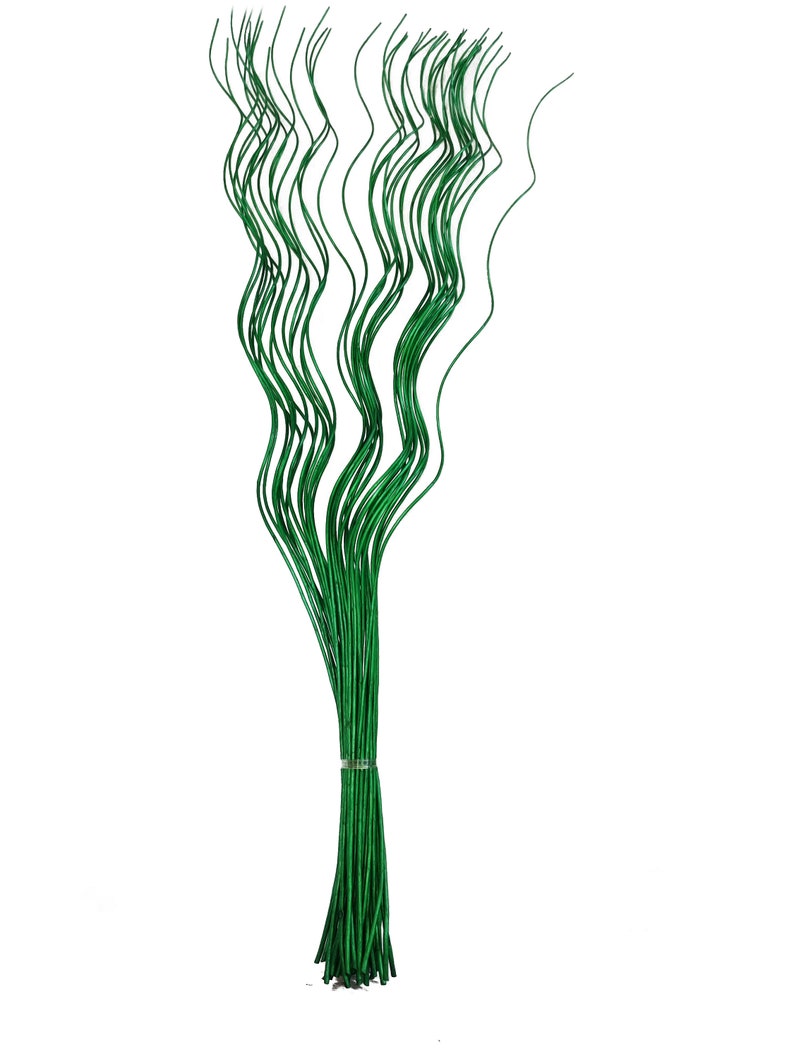 May include: A bunch of green, flexible, wire stems, perfect for floral arrangements or crafting projects.